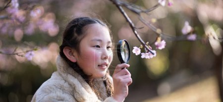 Téléchargez les photos : Une fille qui voit des fleurs de cerisier avec une loupe - en image libre de droit