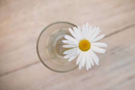Téléchargez les photos : Fleur blanche dans un verre - en image libre de droit