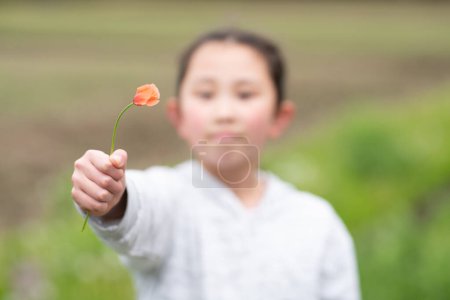 Foto de Un niño que presenta una flor de amapola - Imagen libre de derechos