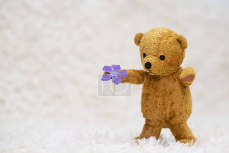 Téléchargez les photos : Ours en peluche tenant la fleur - en image libre de droit
