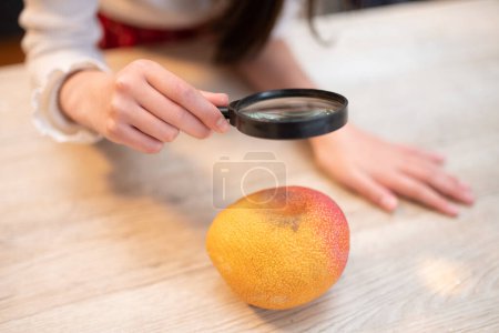 Foto de Niño mirando fruta estropeada con lupa - Imagen libre de derechos