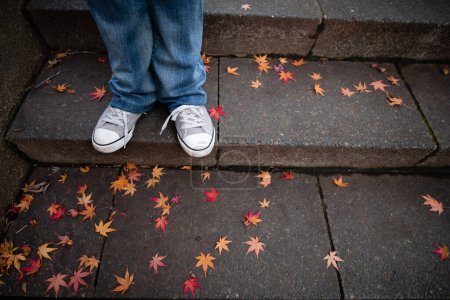 Téléchargez les photos : Feuilles tombées escalier du parc et pieds féminins - en image libre de droit