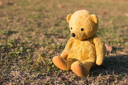 Photo for Teddy bear on the grass - Royalty Free Image