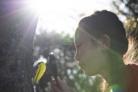 Téléchargez les photos : Une fille pour voir des feuilles de bois avec loupe - en image libre de droit