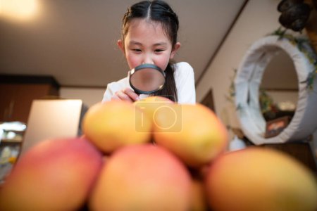 Téléchargez les photos : Fille regardant de nombreuses mangues avec une loupe - en image libre de droit