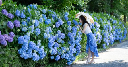Photo for Beautiful woman with hydrangea flowers - Royalty Free Image