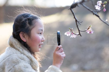 Foto de Una chica que ve flores de cerezo con lupa - Imagen libre de derechos