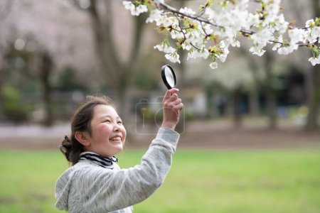 Téléchargez les photos : Fille regardant fleurs de cerisier avec une loupe - en image libre de droit