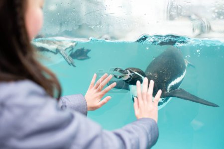 Téléchargez les photos : Enfant regardant les pingouins dans l'aquarium - en image libre de droit