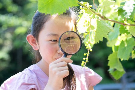 Foto de Una niña mirando a través de una lupa a uvas pequeñas que han comenzado a madurar - Imagen libre de derechos