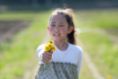 Photo for Girl holding out a dandelion flowers - Royalty Free Image