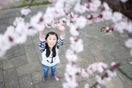 Téléchargez les photos : Fille regardant vers le haut à fleurs de cerisier - en image libre de droit