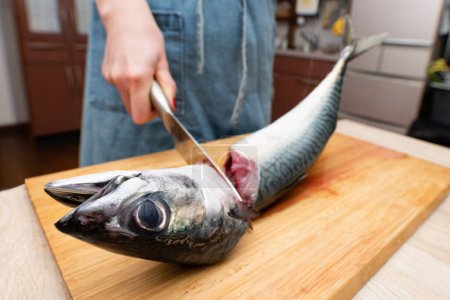 Foto de Una mujer que cocina peces espléndidamente - Imagen libre de derechos