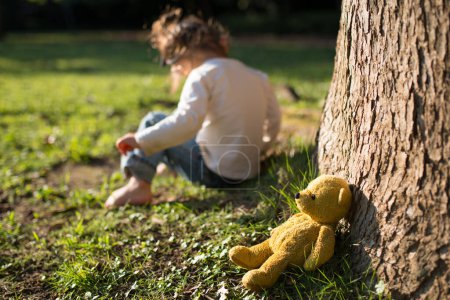 Photo for TEDDY BEAR brown color on the grass - Royalty Free Image