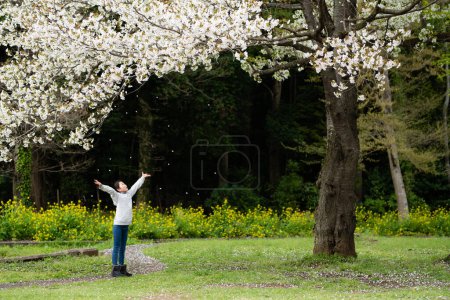 Téléchargez les photos : Fille jouant sous le cerisier - en image libre de droit