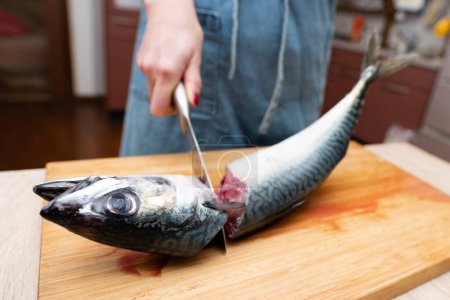 Foto de Una mujer que cocina peces espléndidamente - Imagen libre de derechos