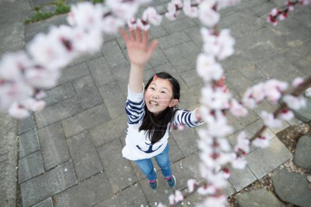 Téléchargez les photos : Fille regardant vers le haut à fleurs de cerisier - en image libre de droit