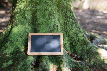 Téléchargez les photos : Tableau noir placé dans l'arbre - en image libre de droit