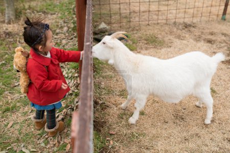 Foto de Chica alimentar a la cabra en la granja - Imagen libre de derechos