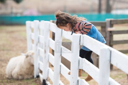Téléchargez les photos : Fille pour observer les moutons - en image libre de droit