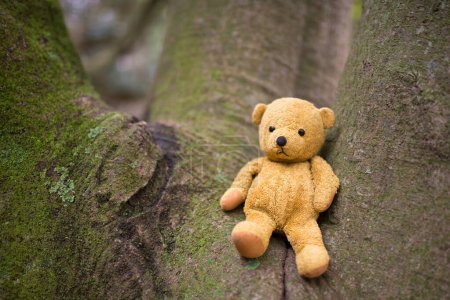 Photo for TEDDY BEAR brown color on the tree - Royalty Free Image
