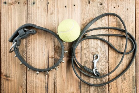 Foto de Collar y plomo y una pelota de tenis - Imagen libre de derechos