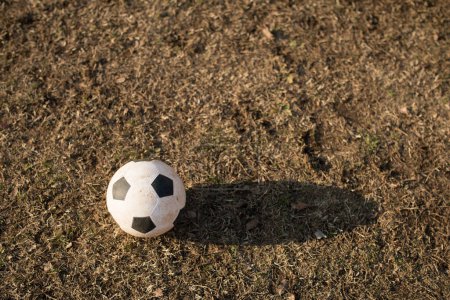 Photo for Soccer football in the field - Royalty Free Image