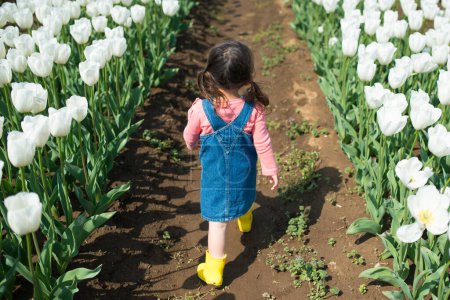 Téléchargez les photos : Fille marche dans le champ de tulipes - en image libre de droit