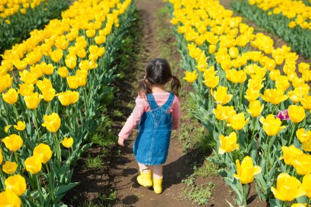 Photo for Girl walking in Tulip Field - Royalty Free Image