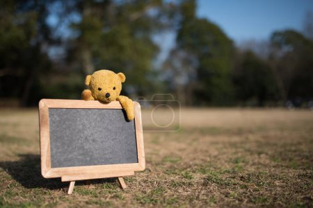 Téléchargez les photos : Tableau noir avec un ours en peluche à l'extérieur - en image libre de droit