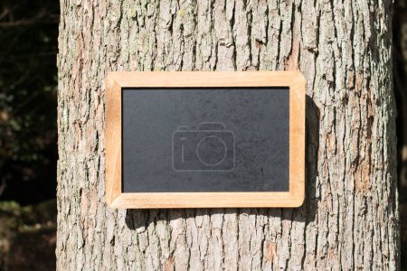 Photo for Blank signboard for text or photo on tree - Royalty Free Image