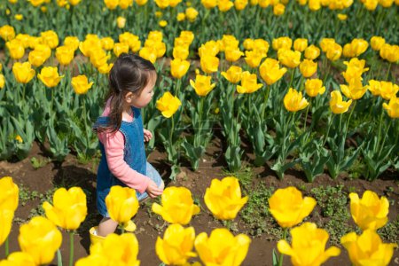 Photo for Girl walking in Tulip Field - Royalty Free Image