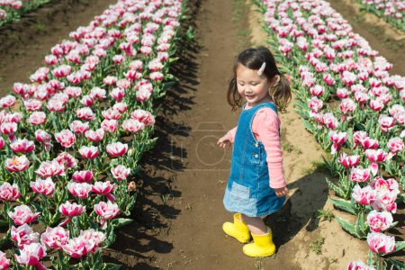 Téléchargez les photos : Fille marche dans le champ de tulipes - en image libre de droit