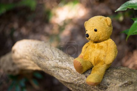 Photo for Brown teddy bear on tree - Royalty Free Image