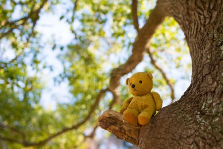 Photo for Teddy bear sitting in a tree - Royalty Free Image