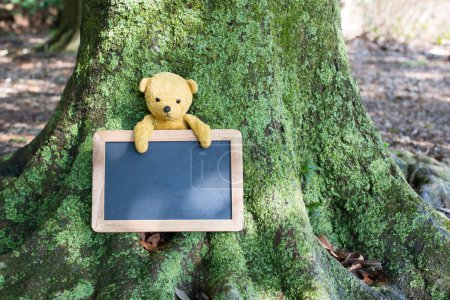 Blackboard and teddy bear that has been placed in the tree