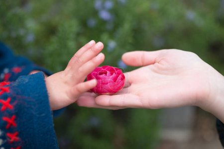 Photo for Hand handing the camellia flower - Royalty Free Image