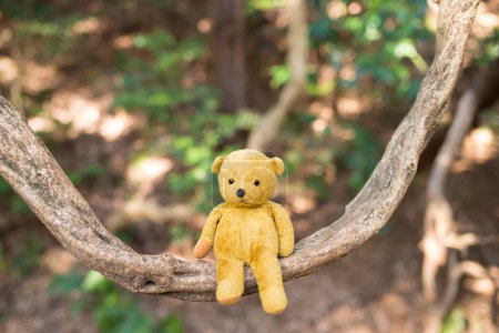 Photo for Brown teddy bear on tree - Royalty Free Image