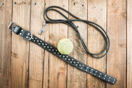 Photo for Collar and lead and a tennis ball - Royalty Free Image