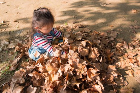 Photo for Young girl throwing fallen leaves in the forest - Royalty Free Image
