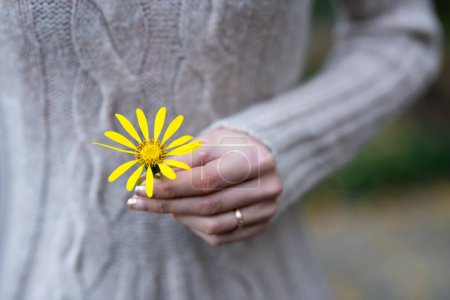 Foto de Mujer presentando una flor amarilla - Imagen libre de derechos