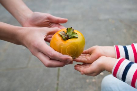 Photo for Parent and child to pass a persimmon - Royalty Free Image