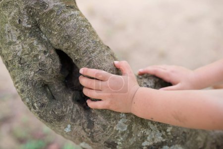 Téléchargez les photos : Les mains de l'enfant qui touche l'arbre - en image libre de droit