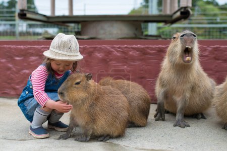 Photo for Girl touch with the capybaras - Royalty Free Image