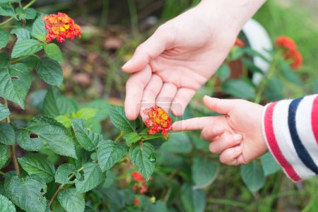 Mother and daughter touching the Lantana flowers