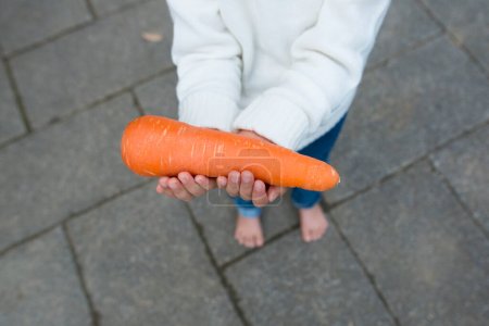 Niño con una zanahoria en las manos