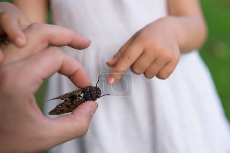 Photo for Parent and child that caught the cicada - Royalty Free Image
