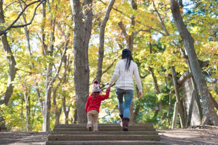 Téléchargez les photos : Mère et fille marchant dans les bois - en image libre de droit