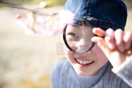 Téléchargez les photos : Un enfant regardant des fleurs de cerisier avec une loupe - en image libre de droit