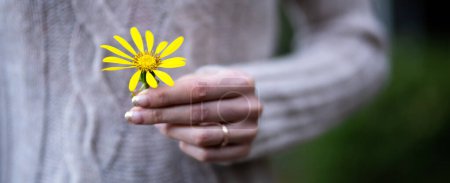 Téléchargez les photos : Femme présentant une fleur jaune - en image libre de droit